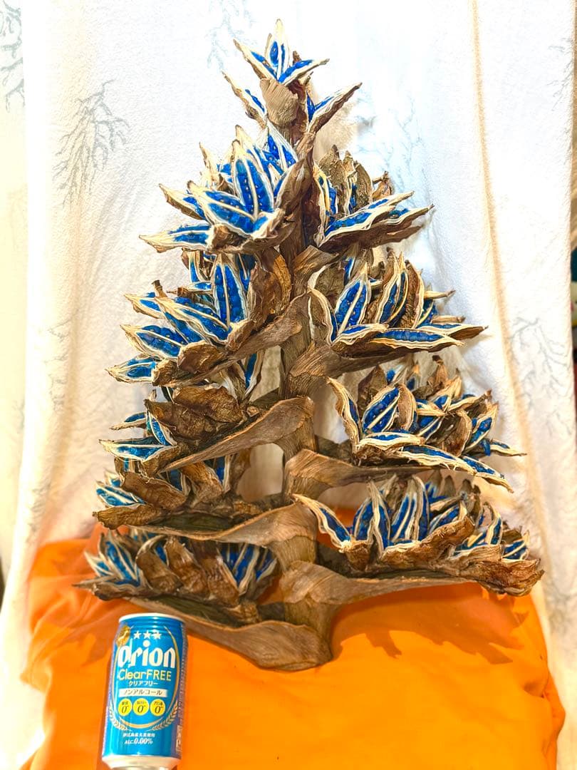 75 旅人の木 11房 特別割引価格 今季物 逸品 宮古島産