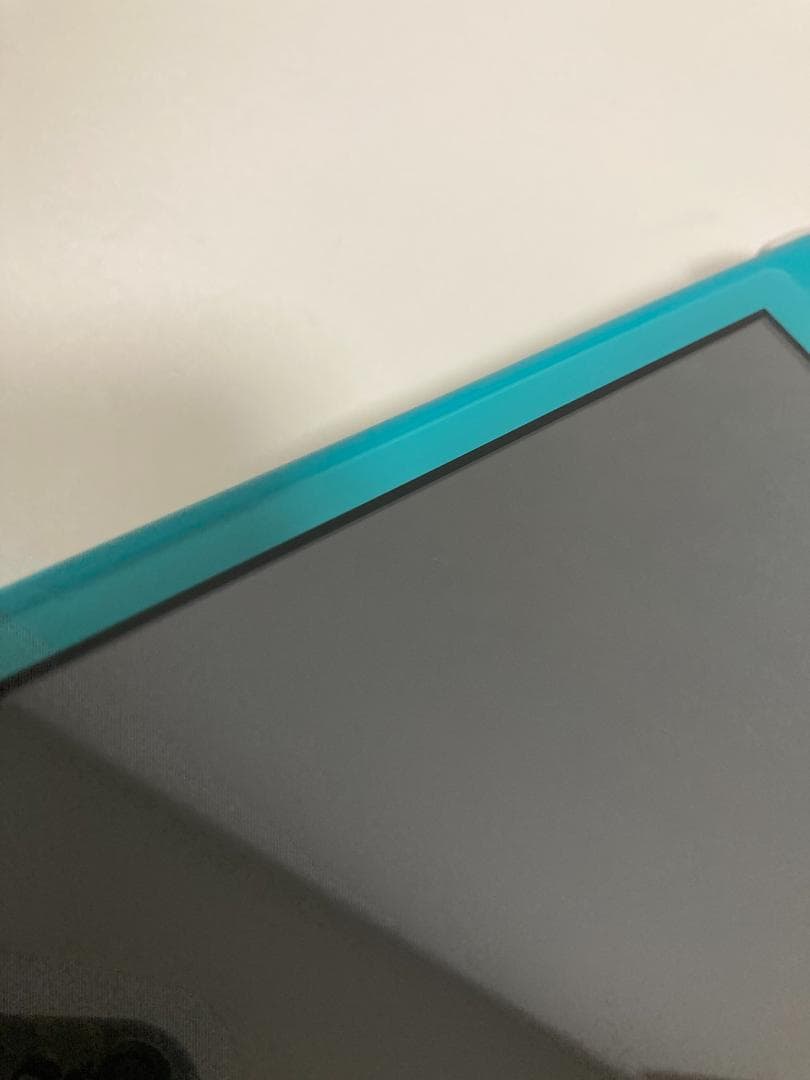 ジャンク Switch Lite 本体 ターコイズ スイッチライト　スイッチ