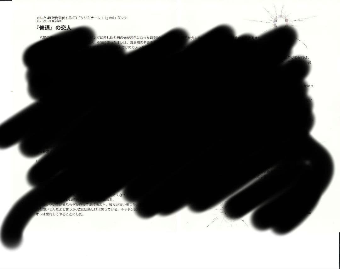 【クリミナーレ！小冊子 非正規品】必須＊セールでもコメントから専用ページ作成依頼