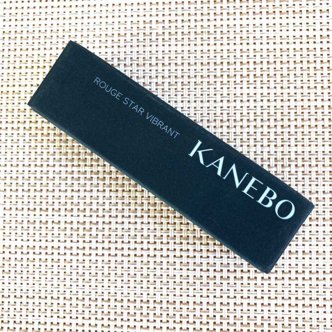 カネボウ ルージュスターヴァイブランドV09