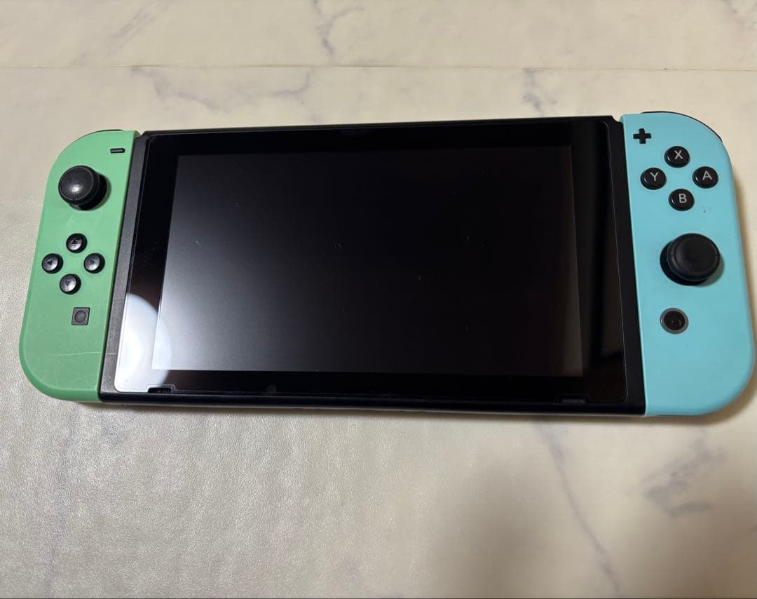 Nintendo Switch あつまれどうぶつの森本体 ジョイコン ケース付き