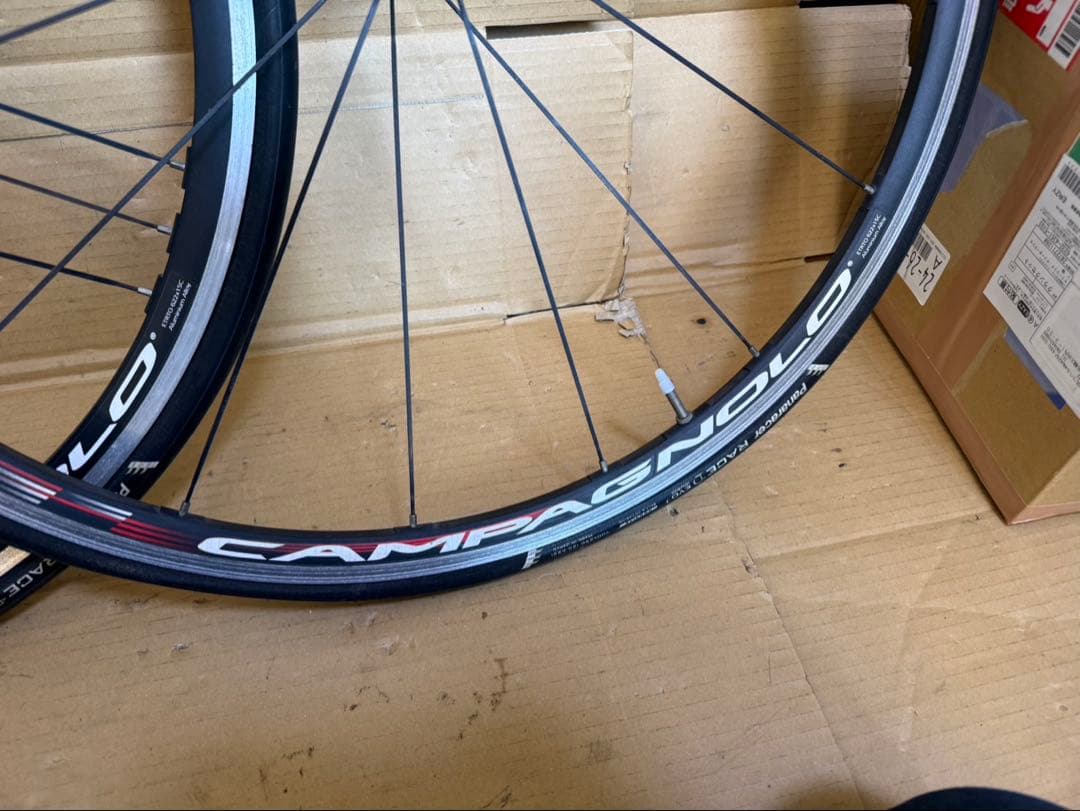 カンパニョーロ　ZONDA C15 シマノフリー