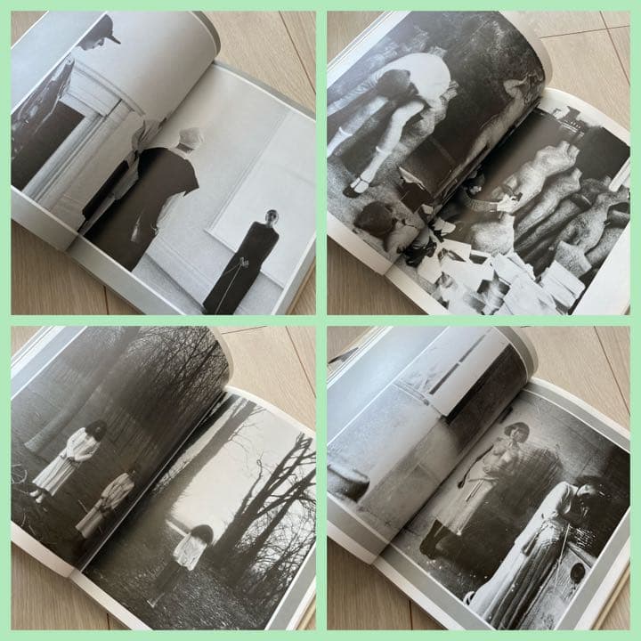 希少❗️ デボラ・ターバヴィル写真集【Wallflower】