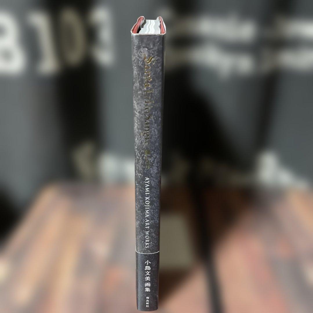 Santa Lilio Sangre緋いユリ : 小島文美画集