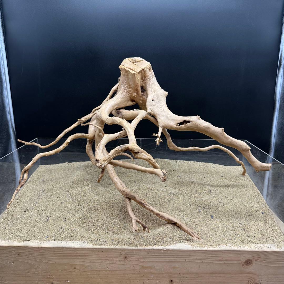 MDW-6991 特大ブランチウッド　流木　枝流木　アクアリウム