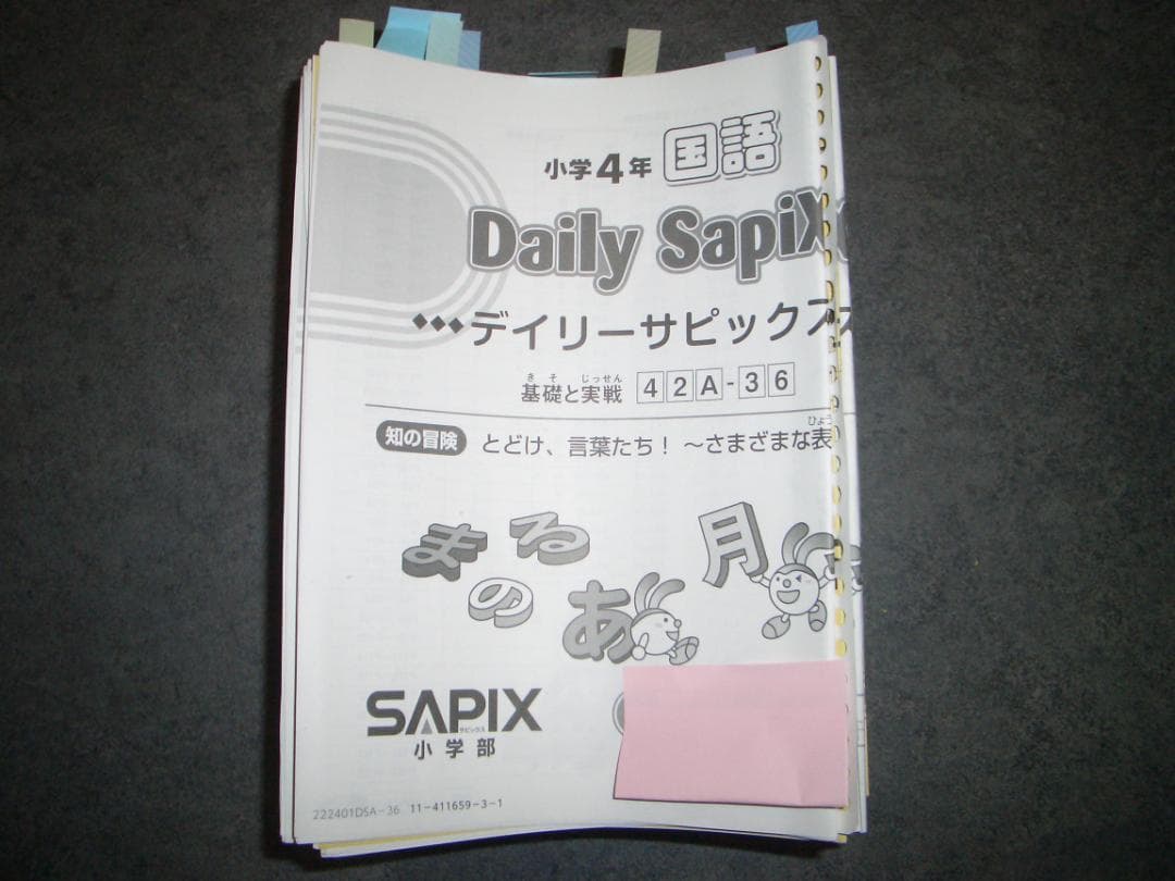 SAPIX 2022年度 4年生　デイリーサピックス　国語　全数セットフルセット