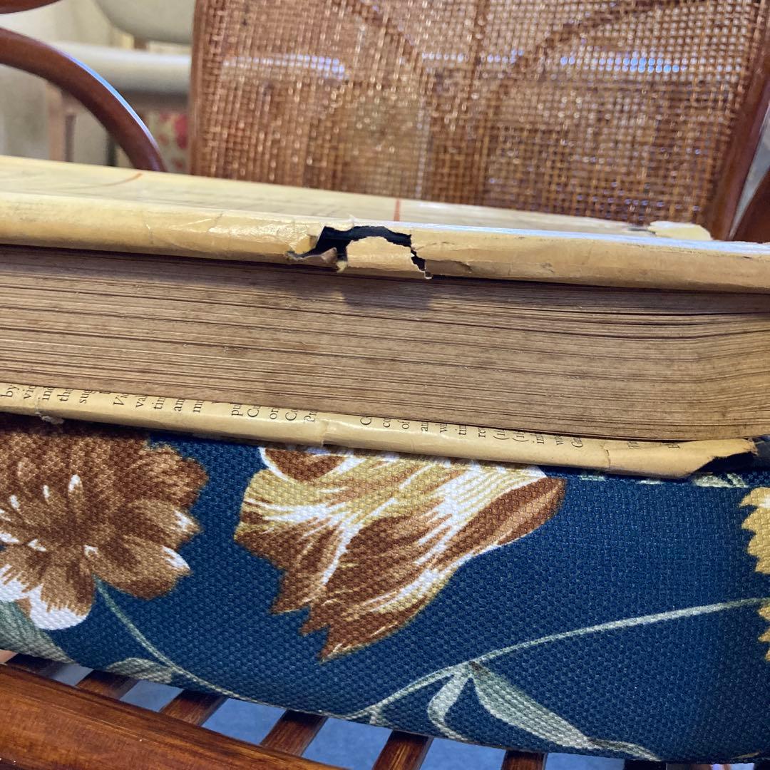 アート・デザイン・音楽 Carl Flesch: Violin Fingering