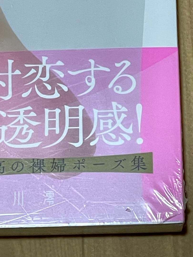大人気激レア【新品未開封】石川澪　プレミアムヌード・ポーズブック