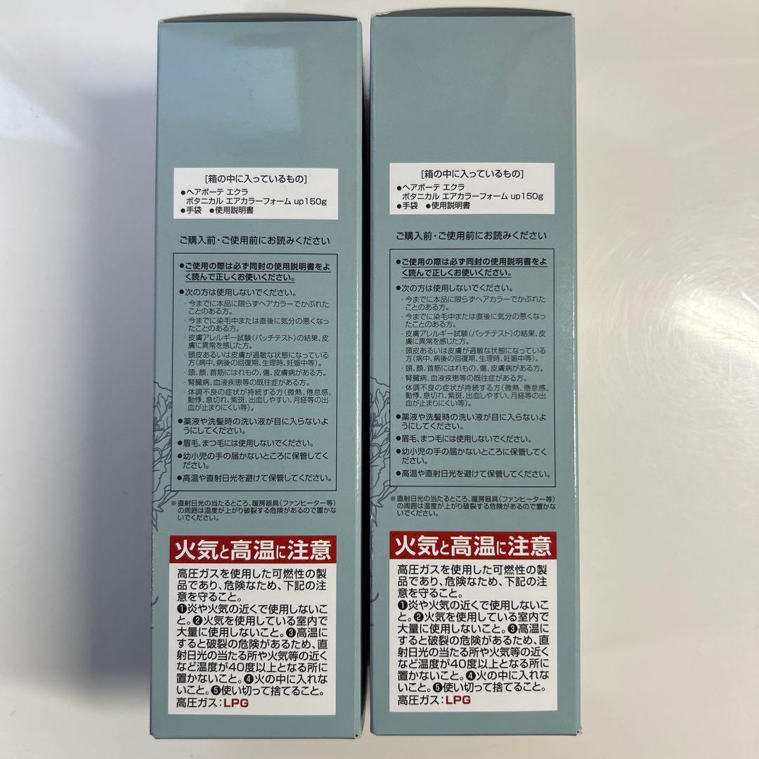 ヘアボーテ エクラ ボタニカル エアカラーフォームup ナチュラルブラック2本