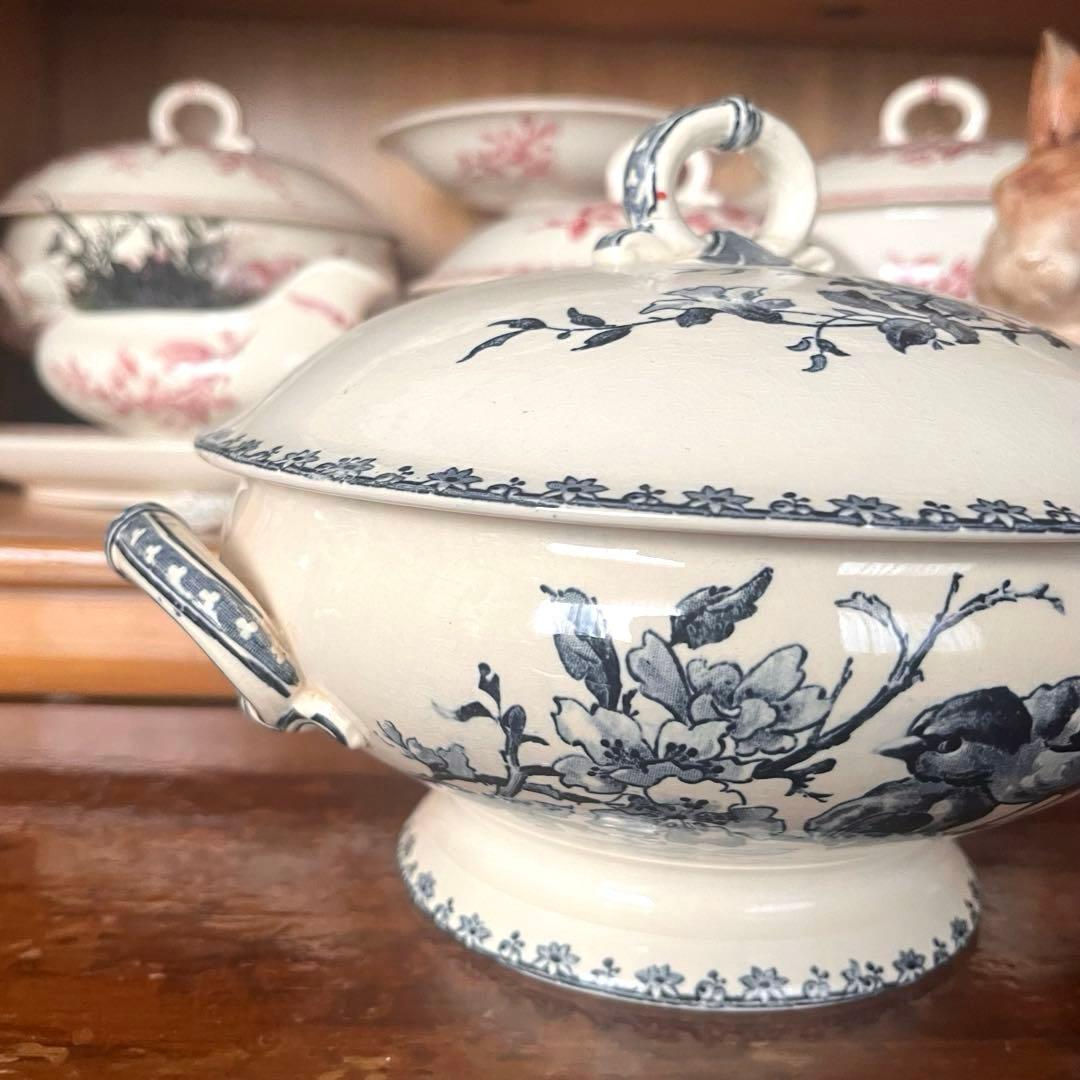 希少＊美品＊仏アンティーク サルグミンヌ favoriレギュミエ・スーピエール