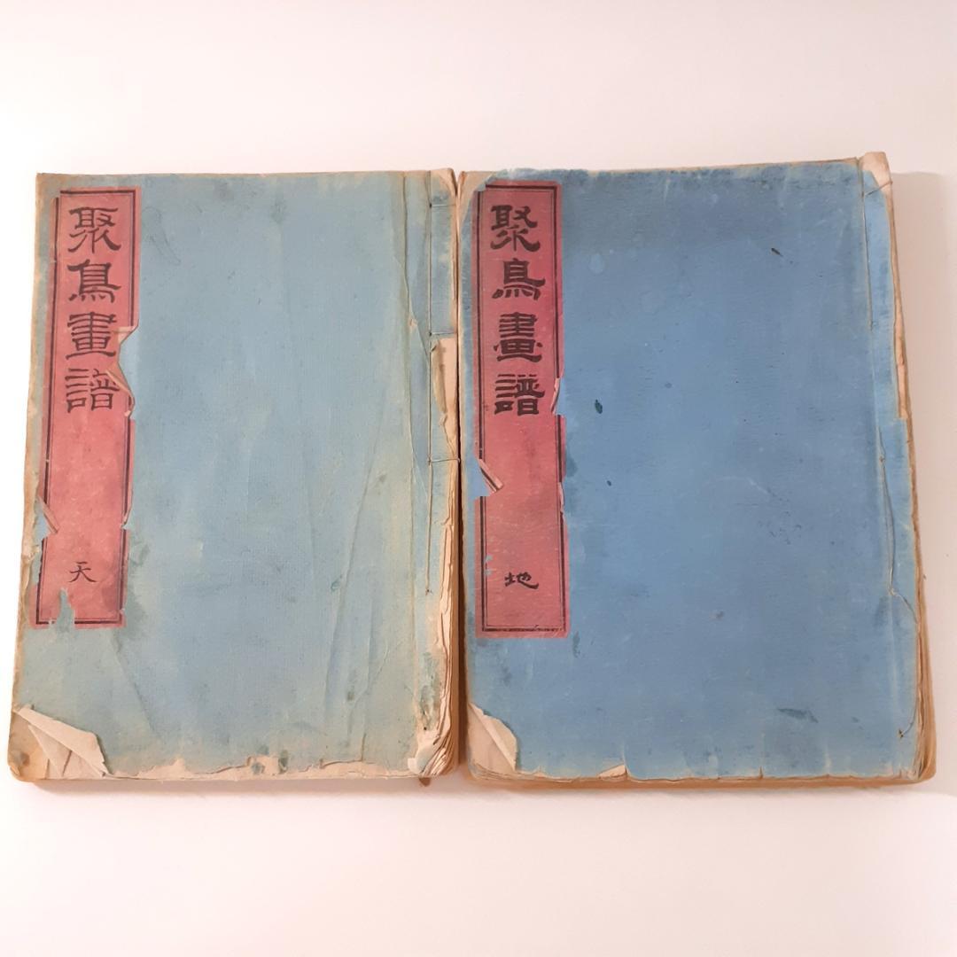 花鳥画譜　天・地　沼田荷舟　【書込みあり】