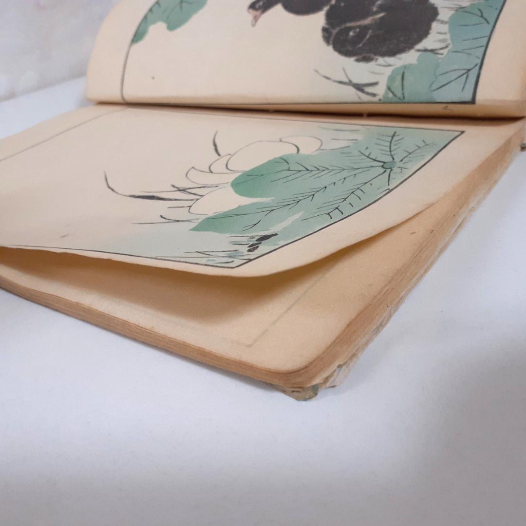 花鳥画譜　天・地　沼田荷舟　【書込みあり】