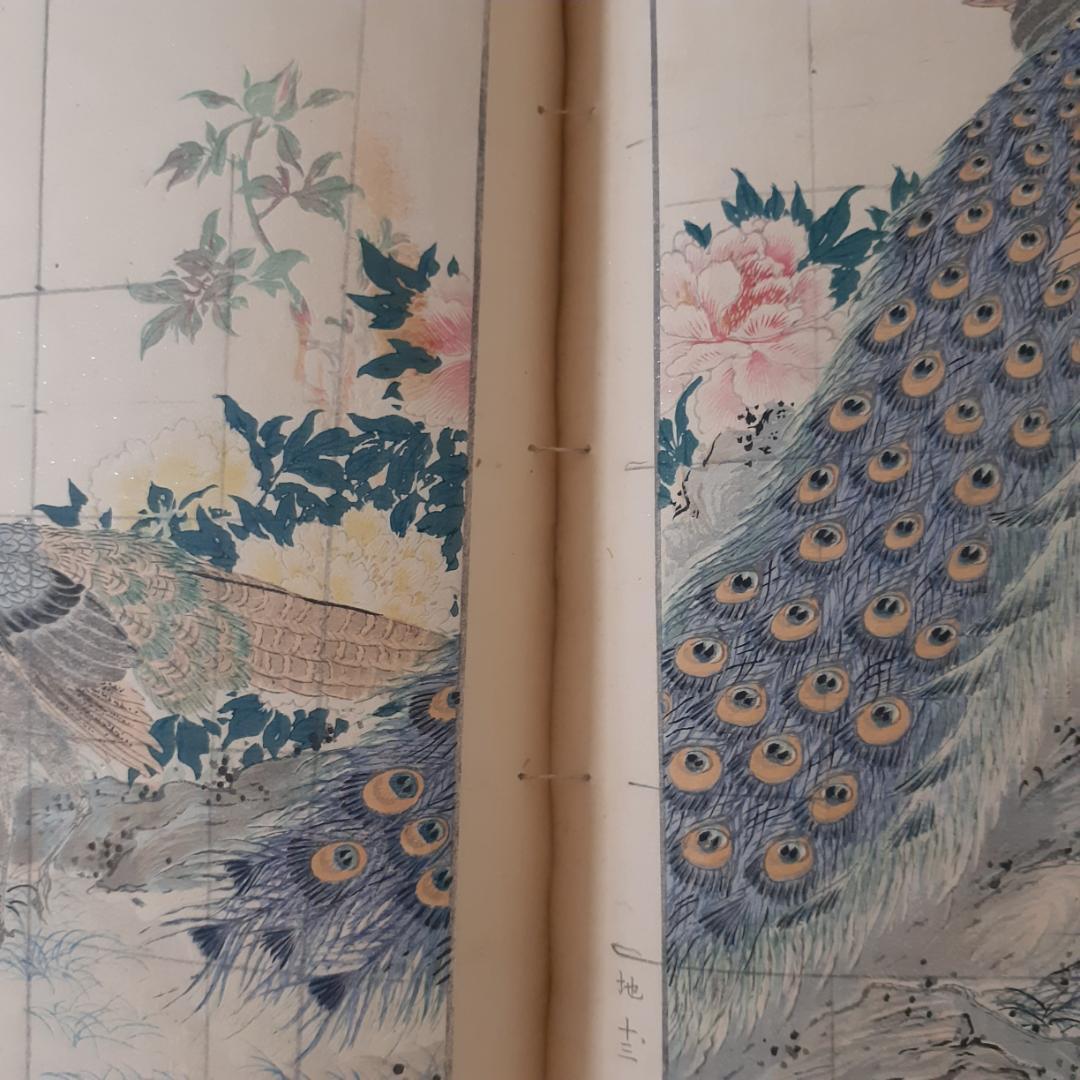 花鳥画譜　天・地　沼田荷舟　【書込みあり】