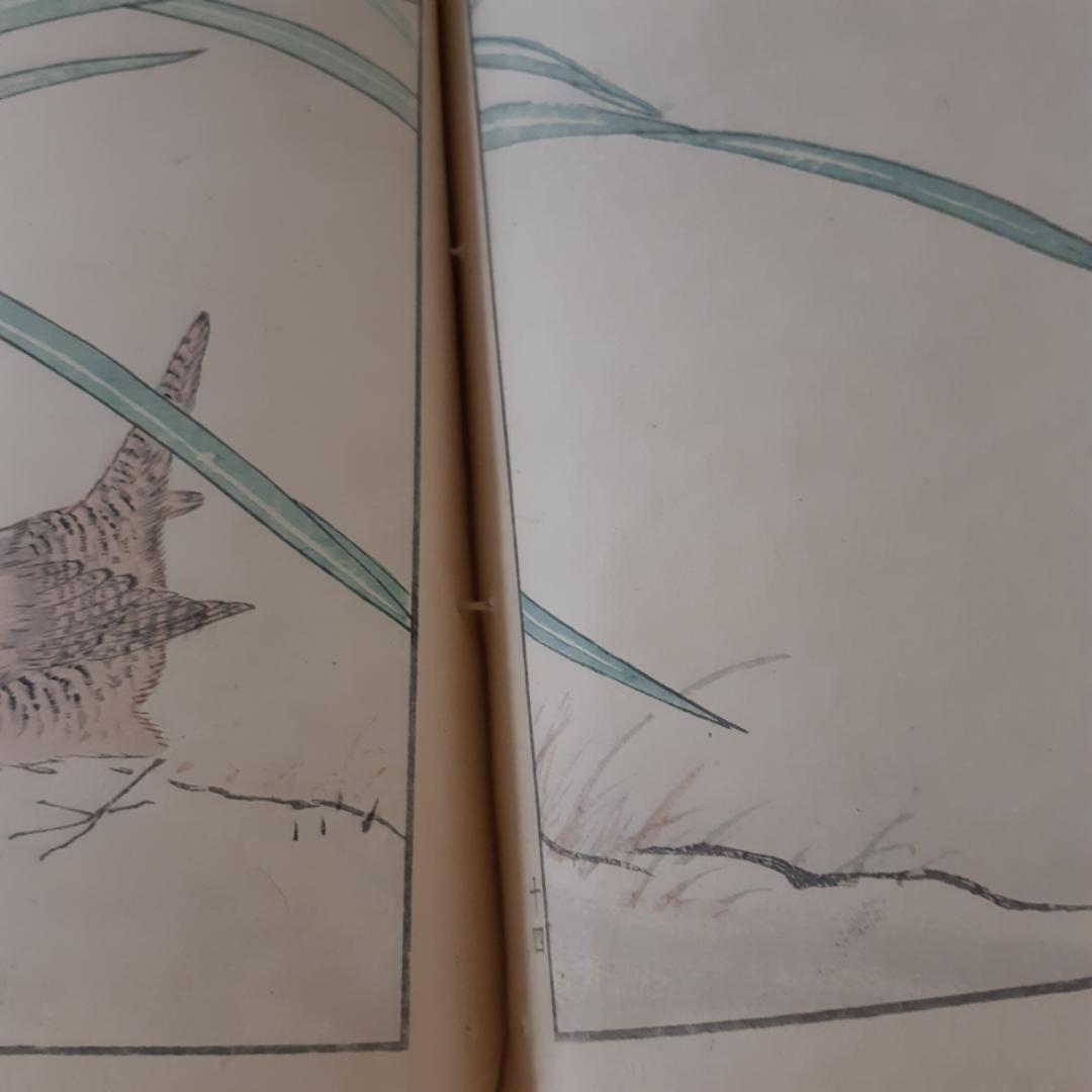 花鳥画譜　天・地　沼田荷舟　【書込みあり】