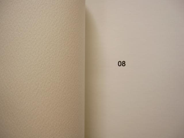 アート・デザイン・音楽 Lina Scheynius 08