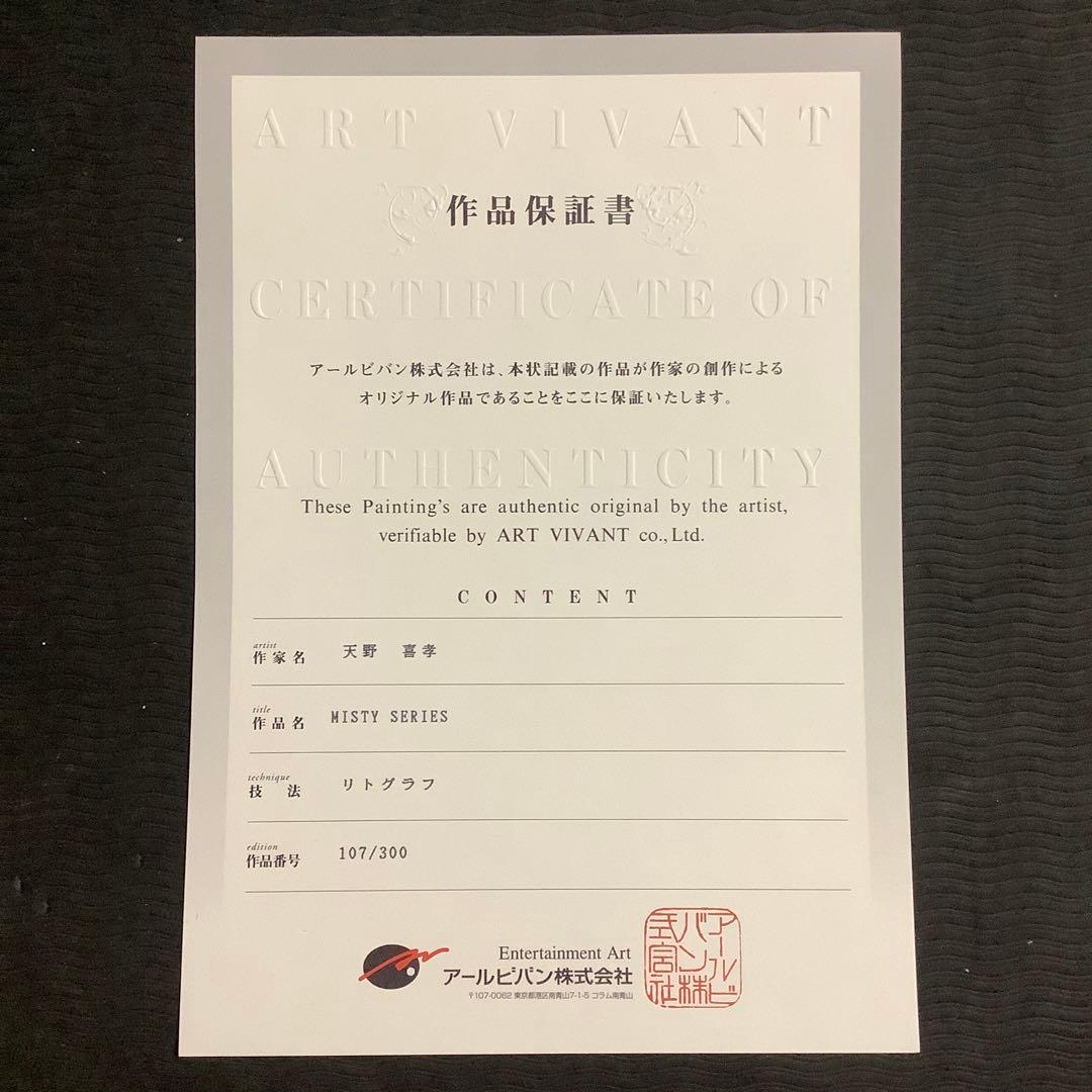 天野喜孝作 ミスティーシリーズの一枚