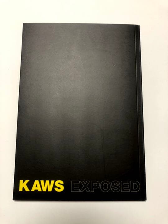 KAWS 1999年初期作品集　KAWS EXPOSED