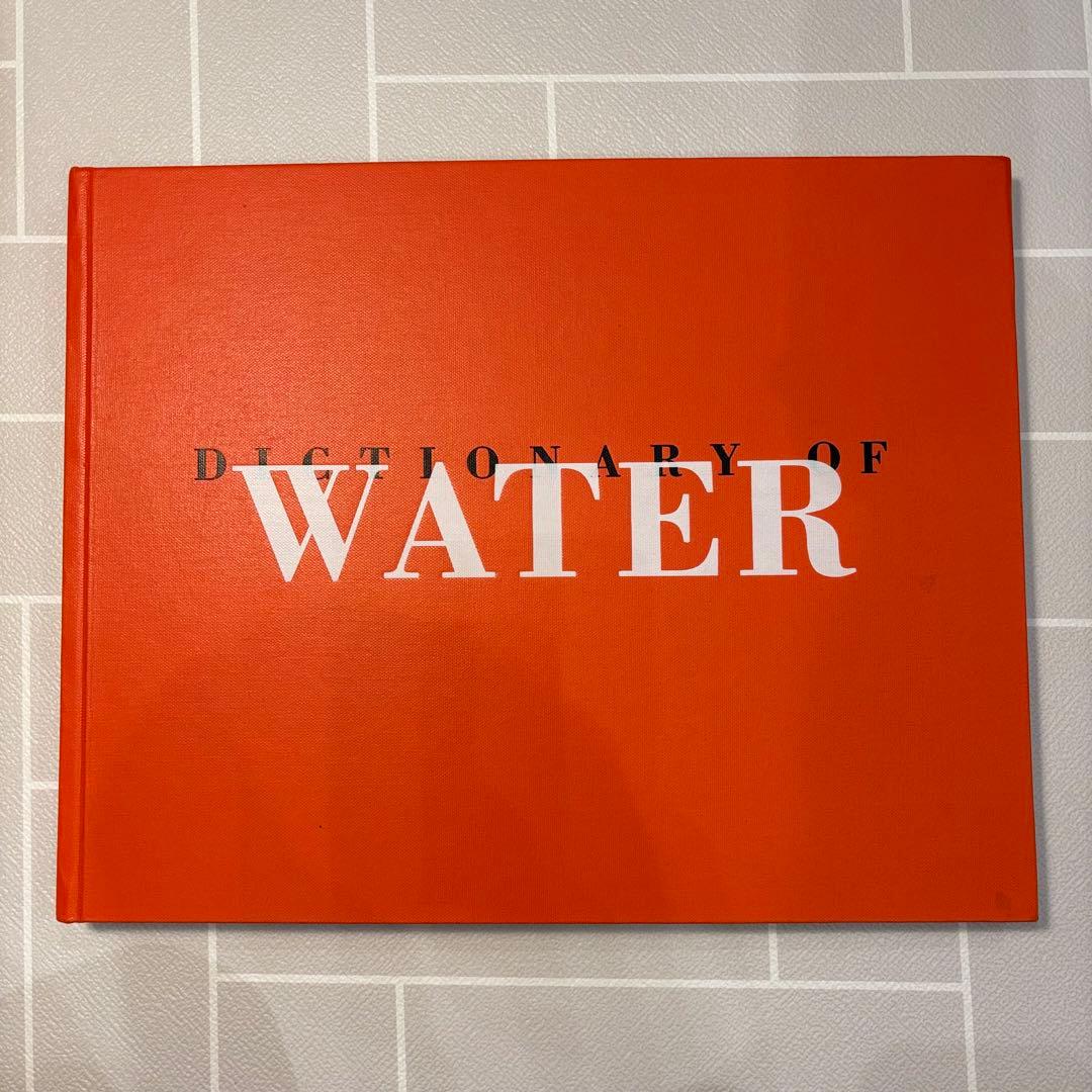 ロニ・ホーン写真集 Dictionary of Water Steidl