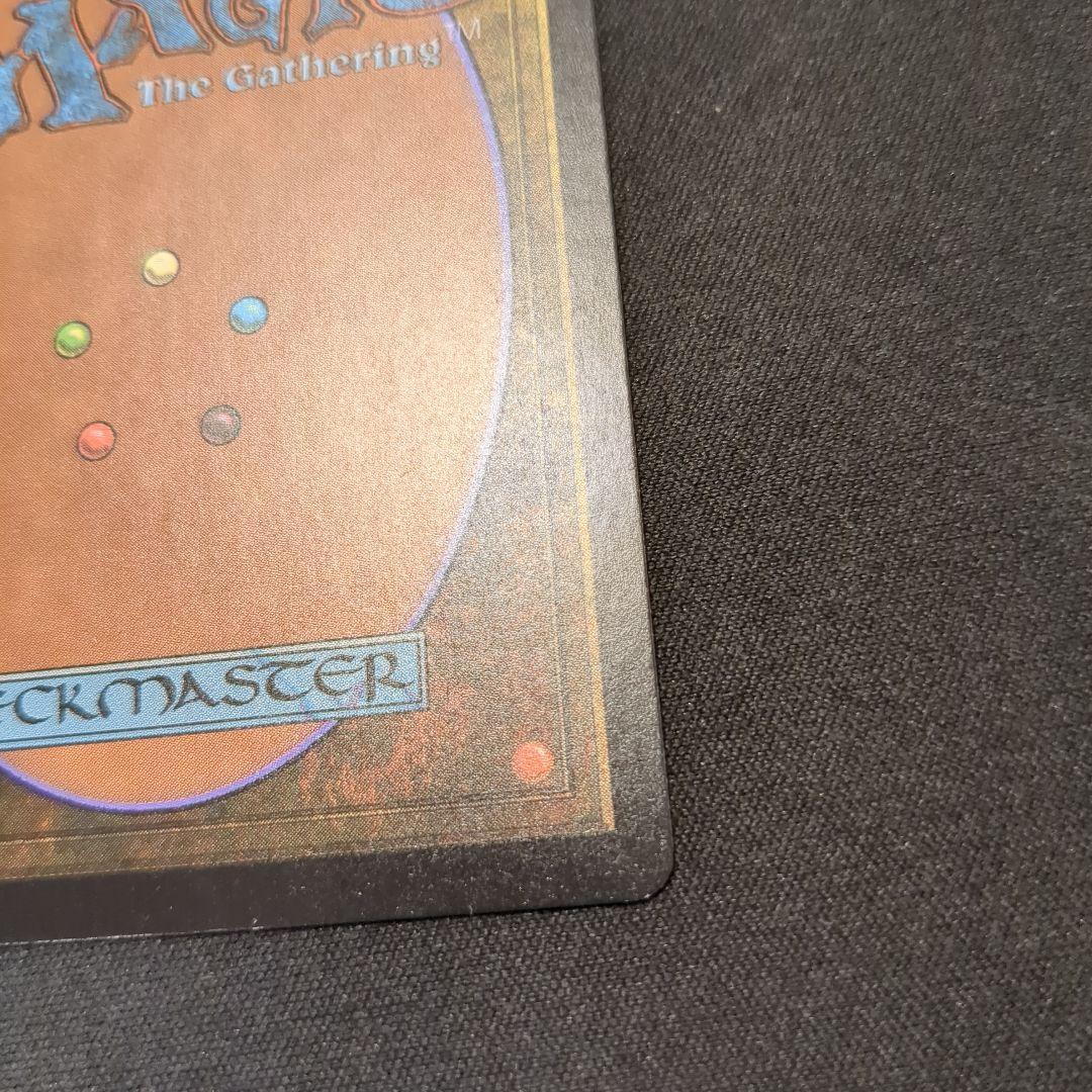 MTG 樹木茂る山麓 EXP 英語版 Foil