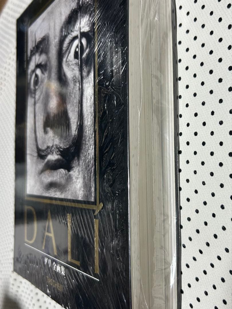 絶版 サルバドール・ダリ全画集 「Dali - The Paintings」洋書