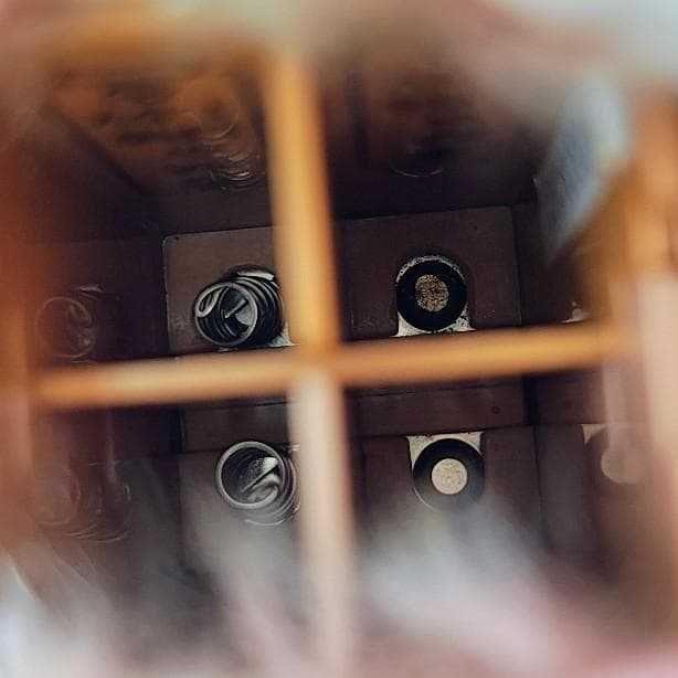 ファービー2　クランベリークッキー　英語版　furby furby2 #12