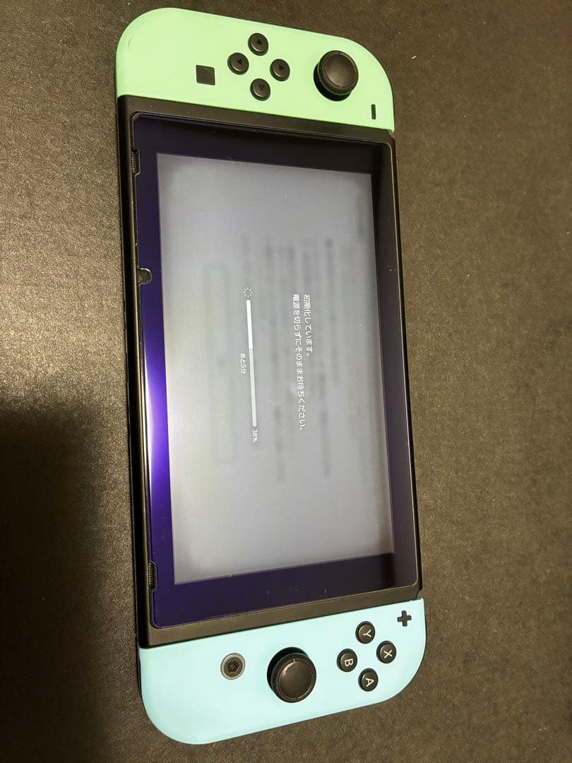 Nintendo Switch どうぶつの森エディション
