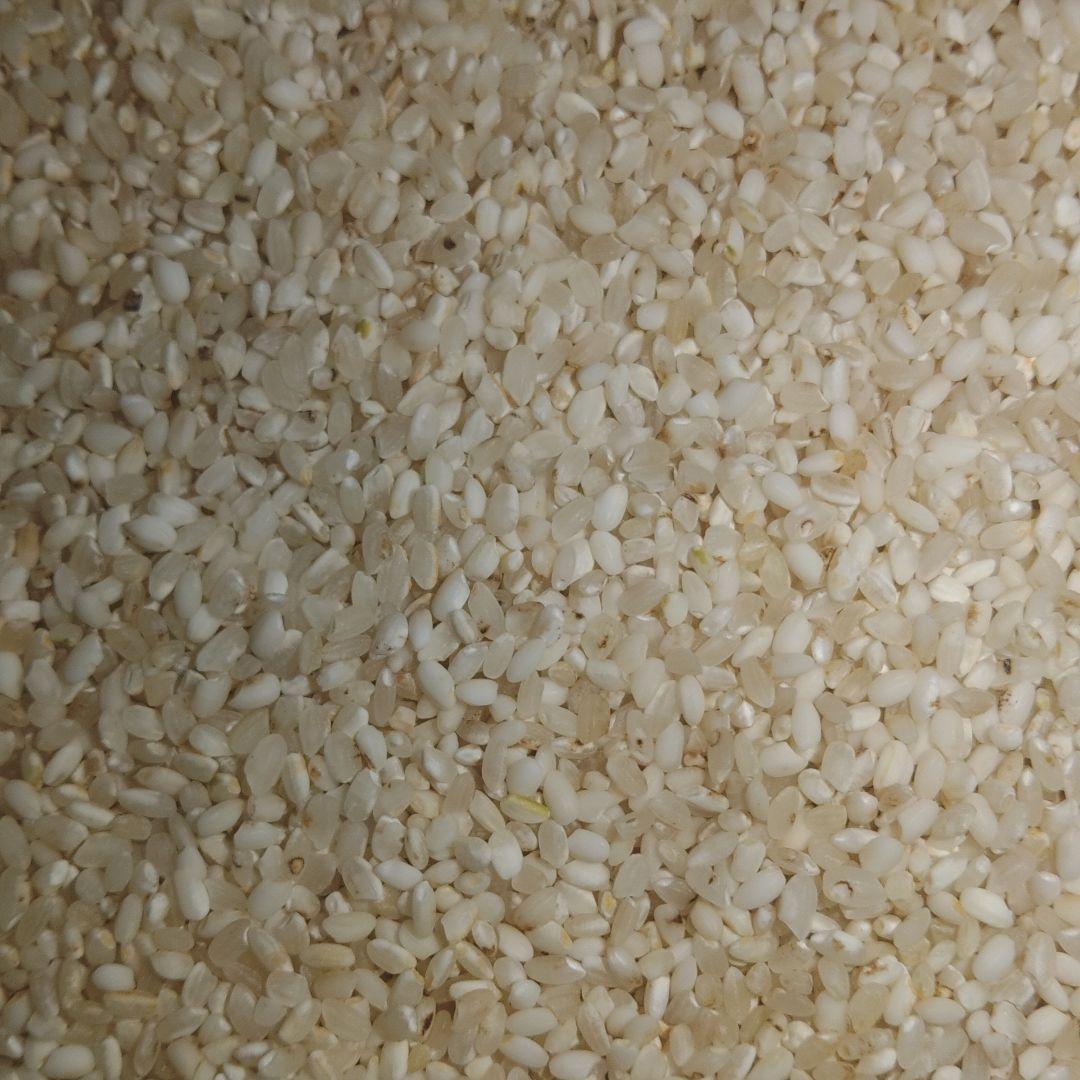 くず米　24kg　【飼料用】　※説明欄必読