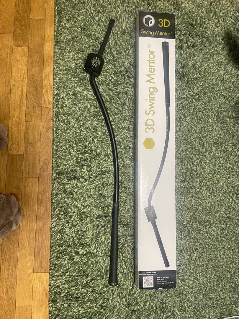 3D Swing Mentor スイング補助具