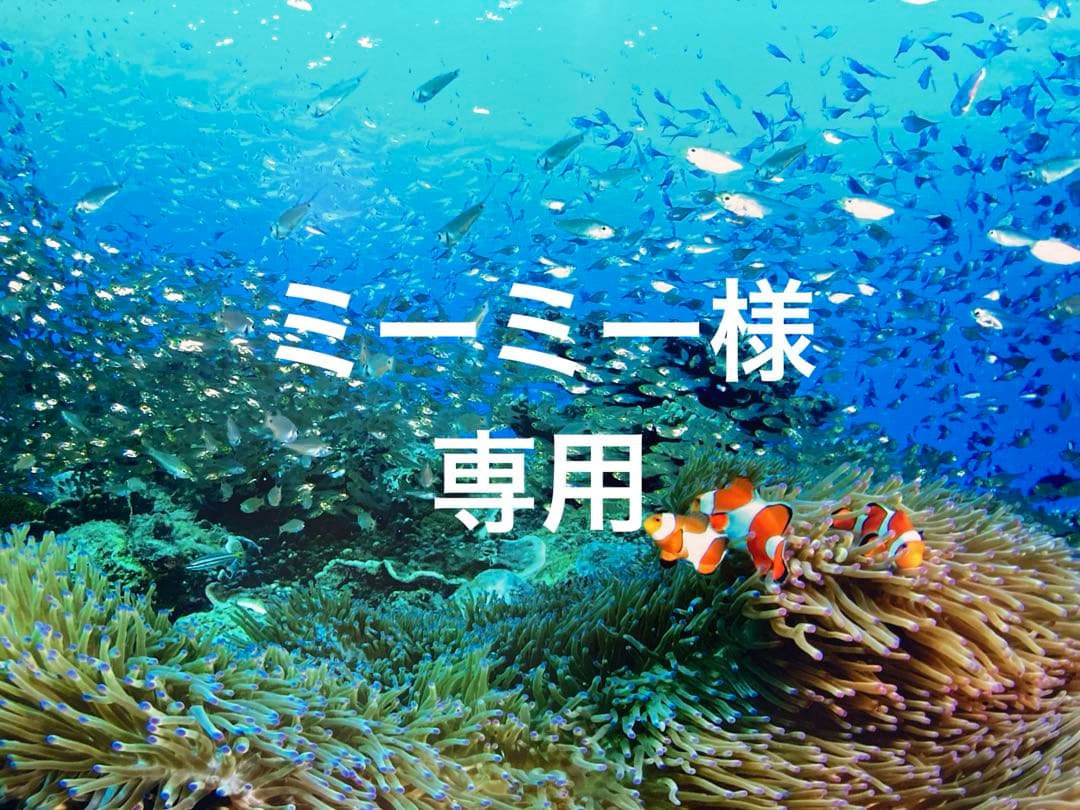 エンビロンジェル2 クリーム4 ルーセントプレップL Cブーストクリーム