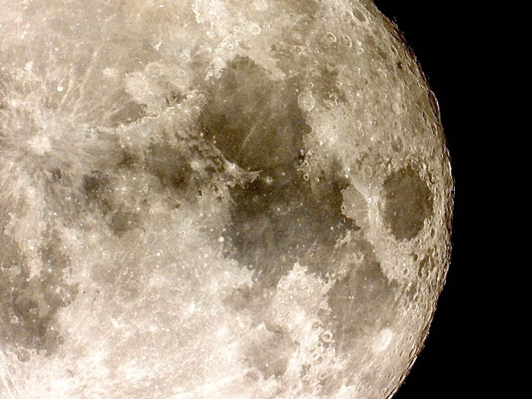 ゆ*ず様 Nikon COOLPIX P1000 デジタルカメラ