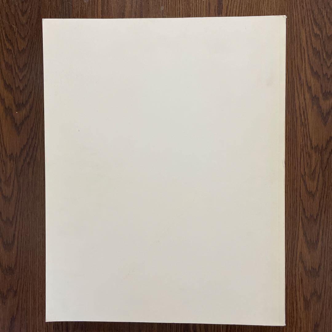 Luis Barragán The Eye Embodied