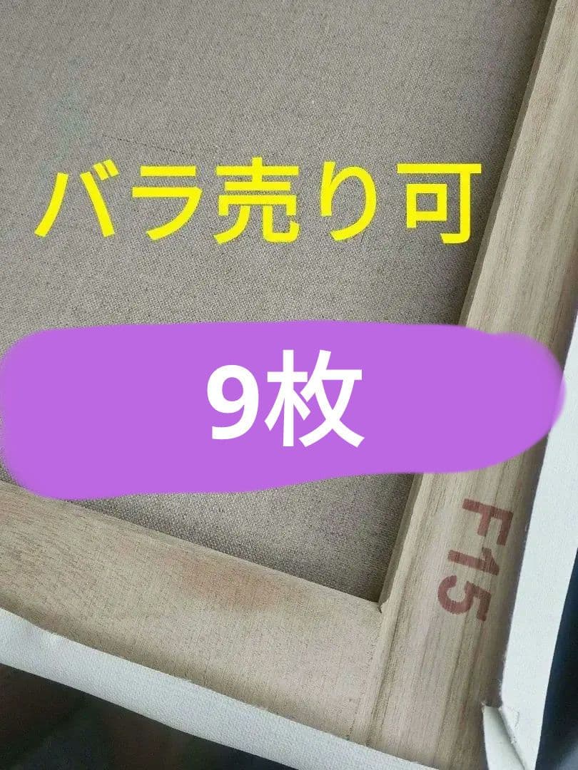F15の中目 キャンバス バラ売り可 9枚 画材 画板 絵画