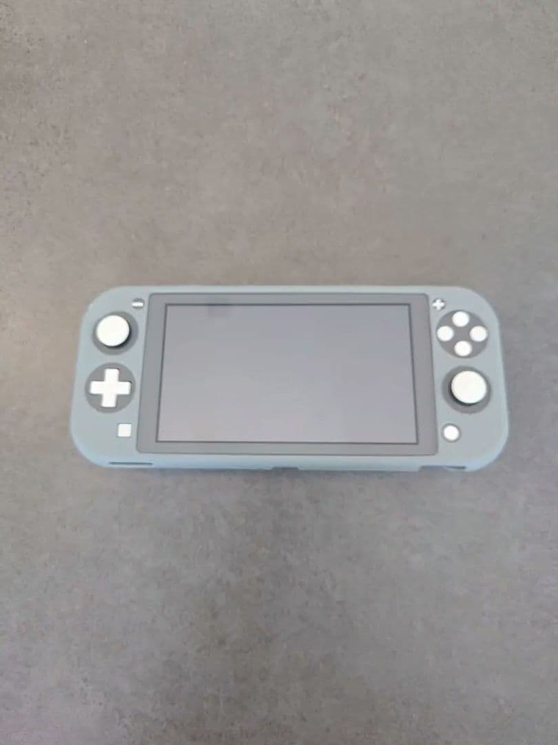 Nintendo Switch Liteグレー本体+シリコンカバー+ケース付