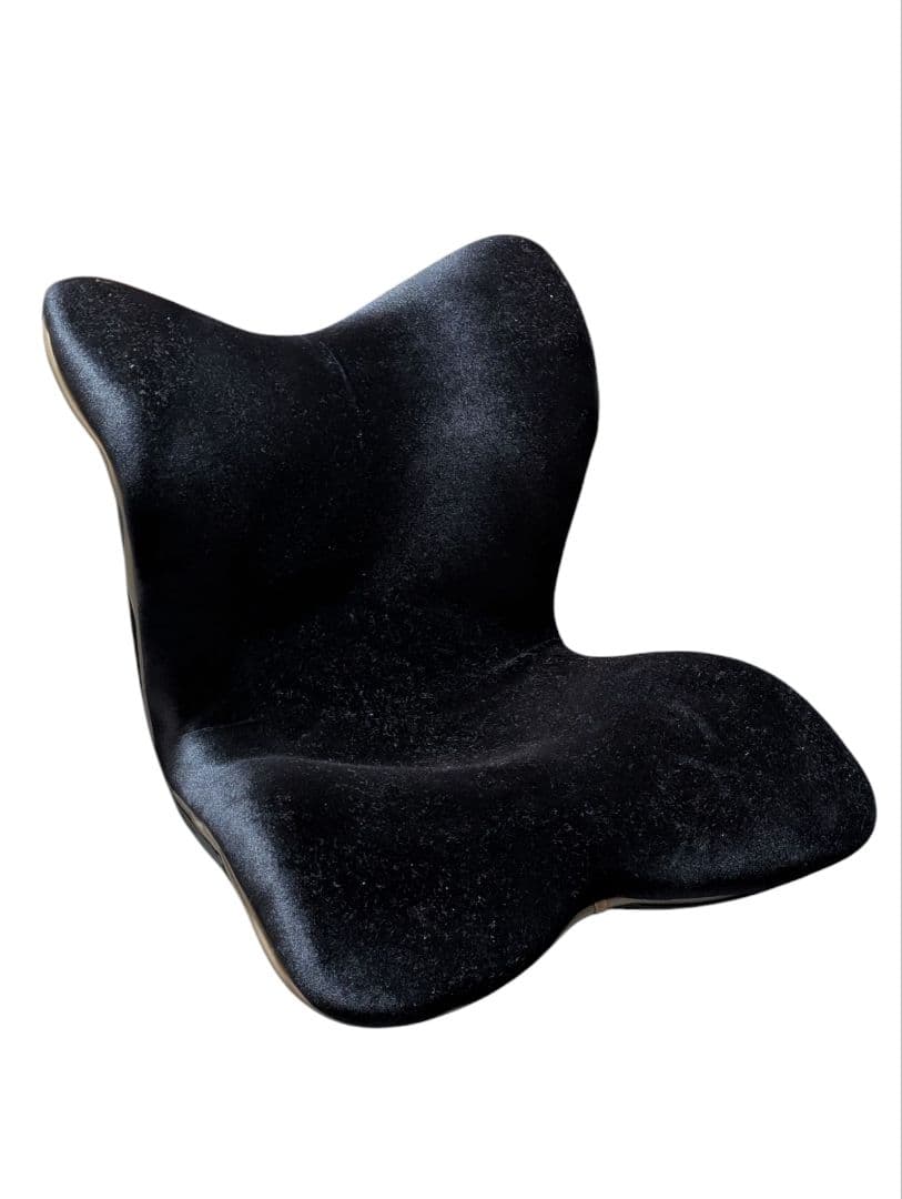 Style PREMIUM DX ブラック