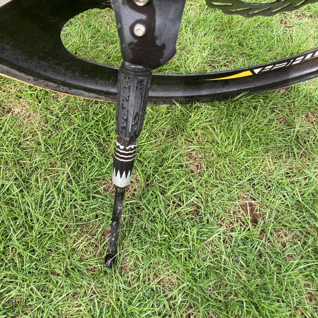 となりのトトロ