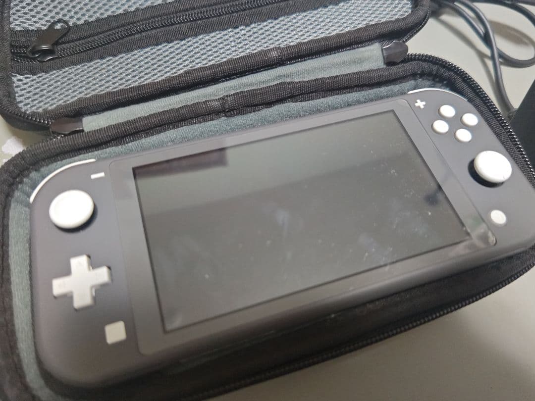 Nintendo Switch Lite グレー 本体 充電器 ケース付き