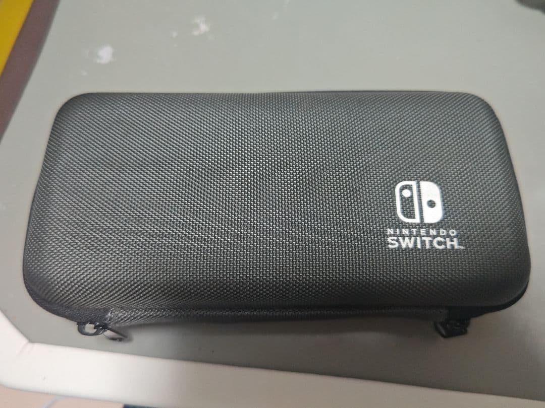 Nintendo Switch Lite グレー 本体 充電器 ケース付き