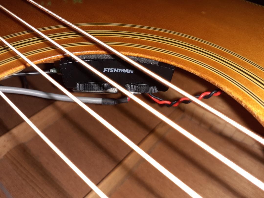 格安出品 Epiphone PR350 FISHMAN PU装着 エレアコ仕様