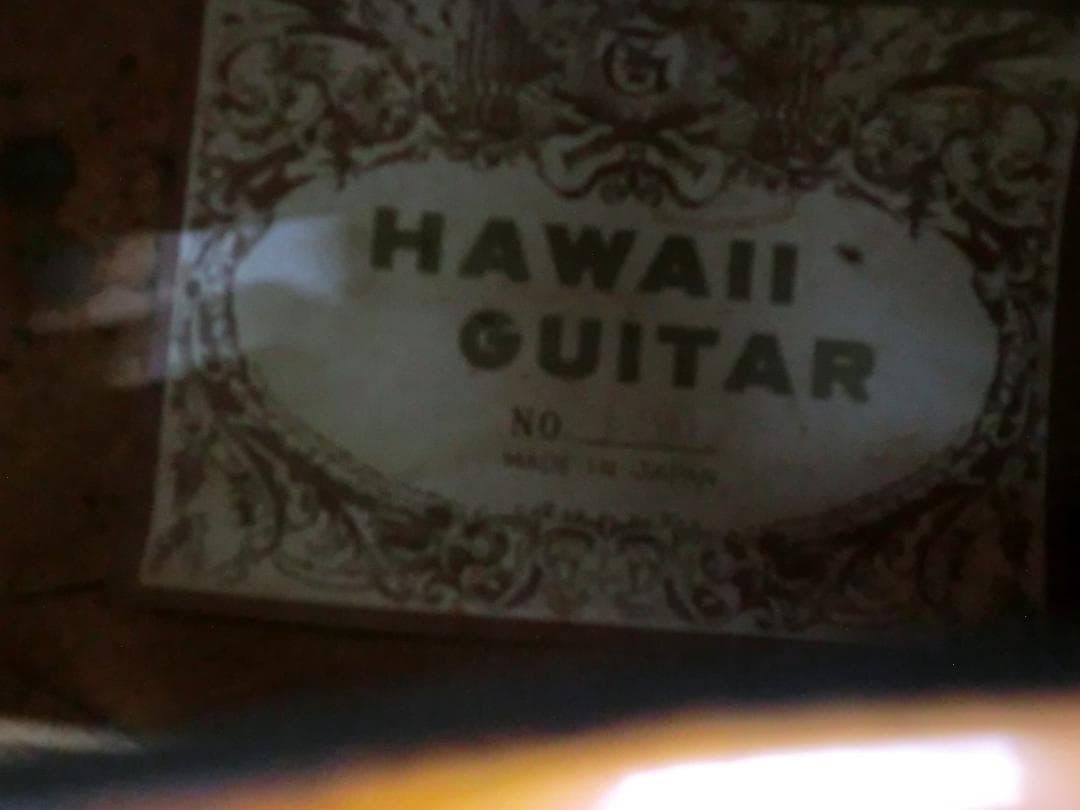 Hawaii guitar　アーチトップ・ピックギター・フルアコ