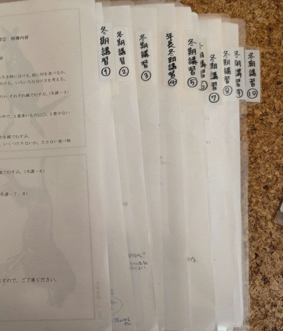 【伸芽会】年長11〜10月　総合クラス　冬期　夏期　直前講習　未記入プリント