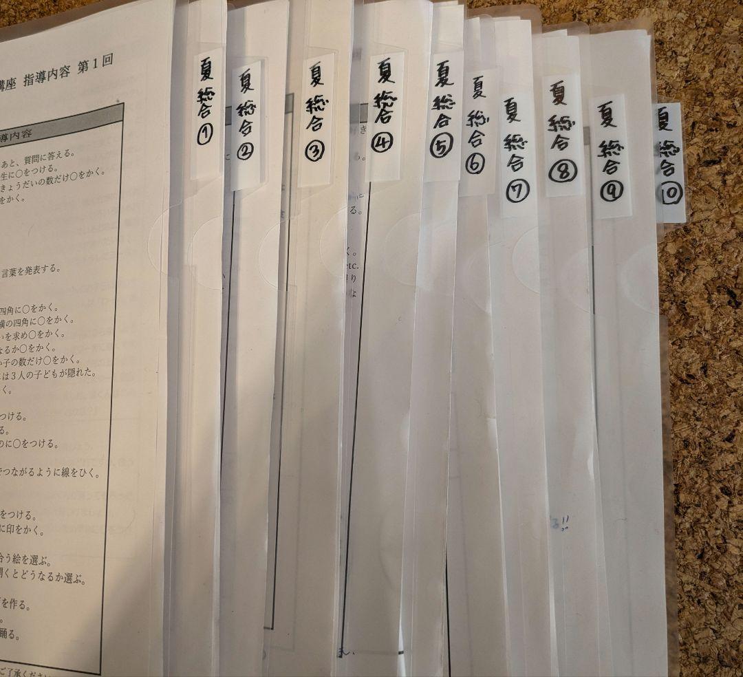 【伸芽会】年長11〜10月　総合クラス　冬期　夏期　直前講習　未記入プリント