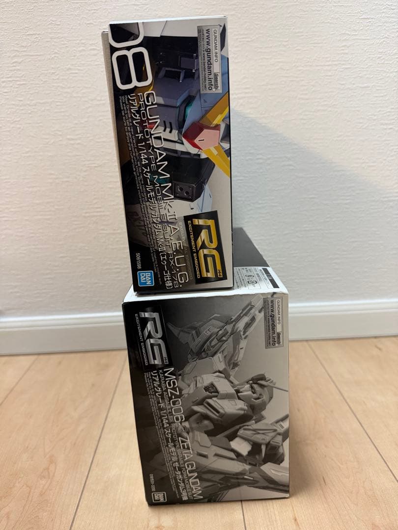 ＊RGガンプラ2体セット