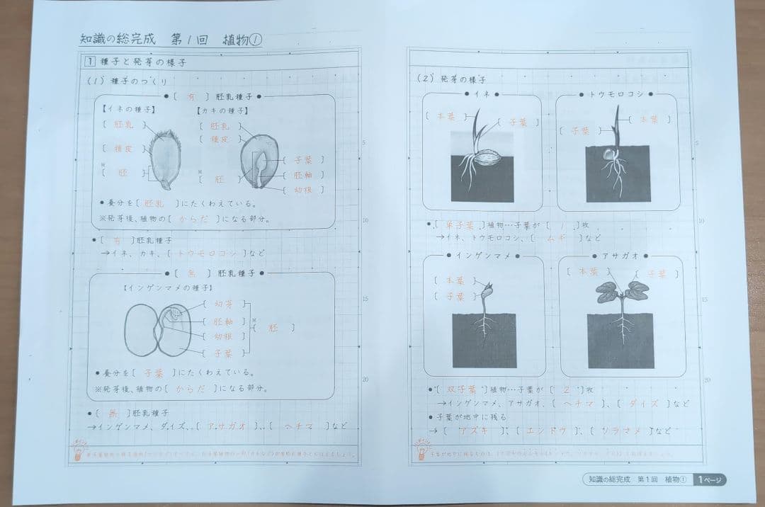 SAPIX　知識の総完成　理科　1〜19回　　2025年受験