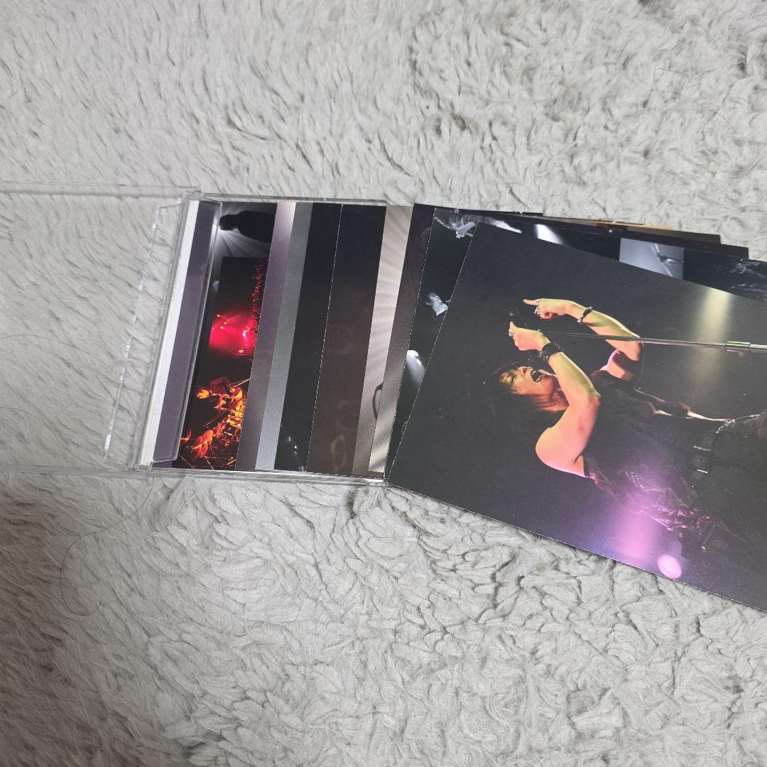 【貴重】MASCHERA DRAGONHEADS DRAGONTAILS