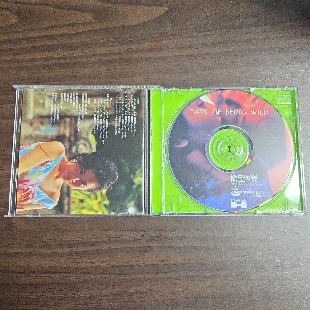 ウォンカーウァイDVD5枚セット