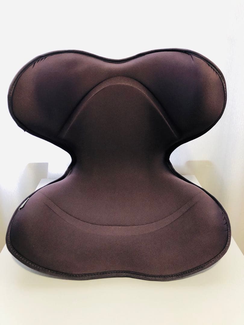 姿勢サポートチェア（中古美品）Style