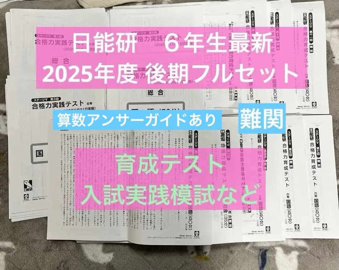 日能研　2025年度　最新６年生　育成テスト　入試実践模試など　後期フルセット