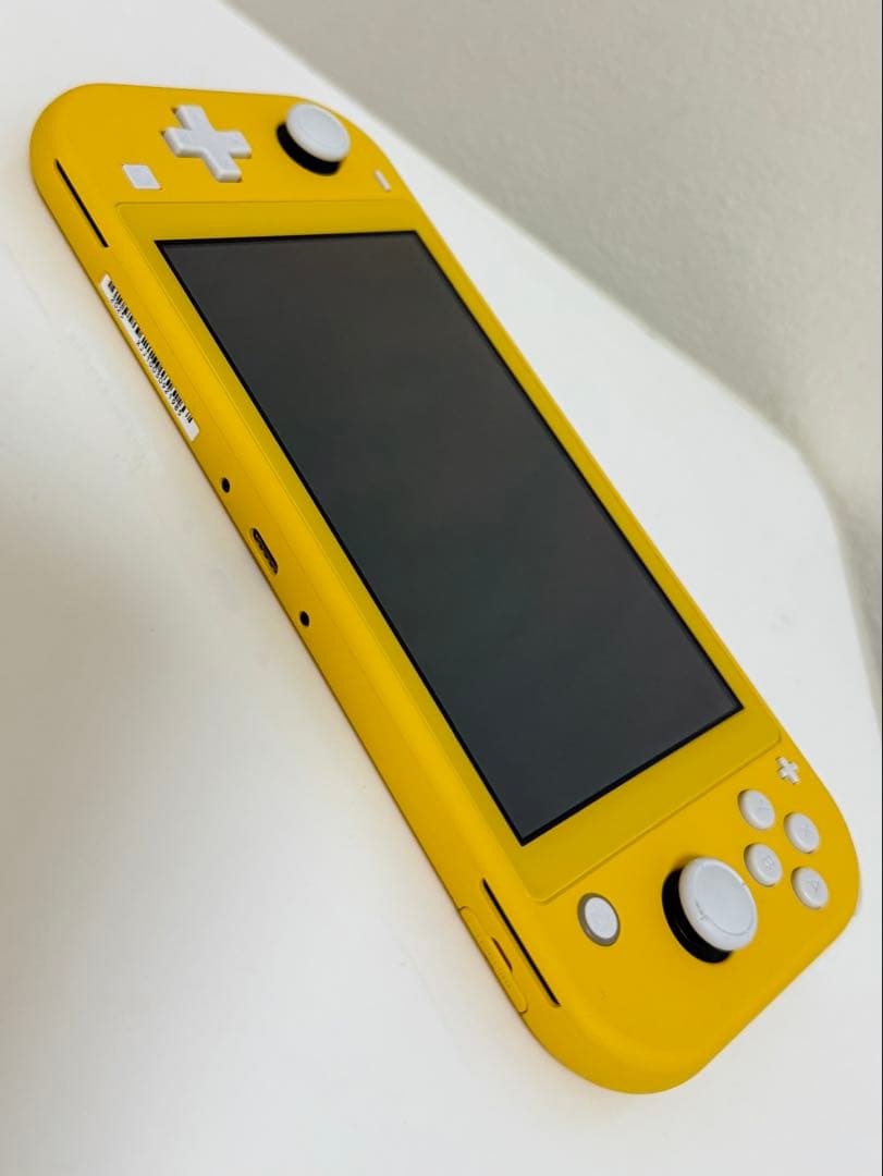 Nintendo Switch Lite ケース付き