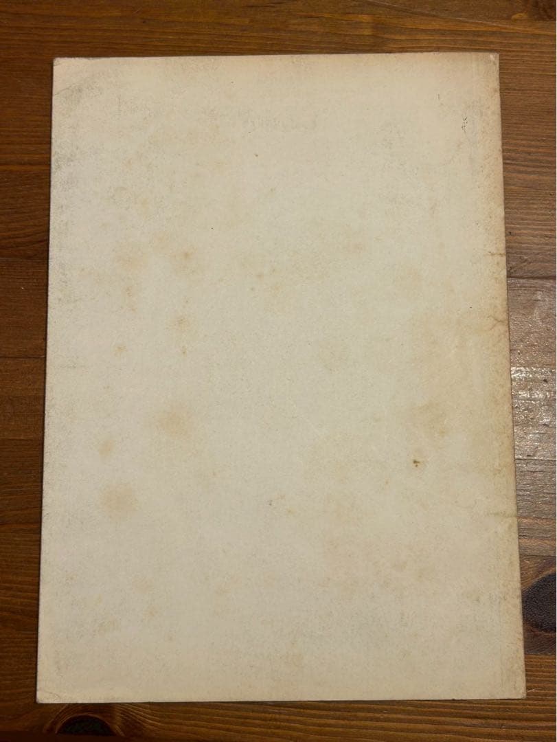 フリードリッヒ・キースラー 建築 1890–1965