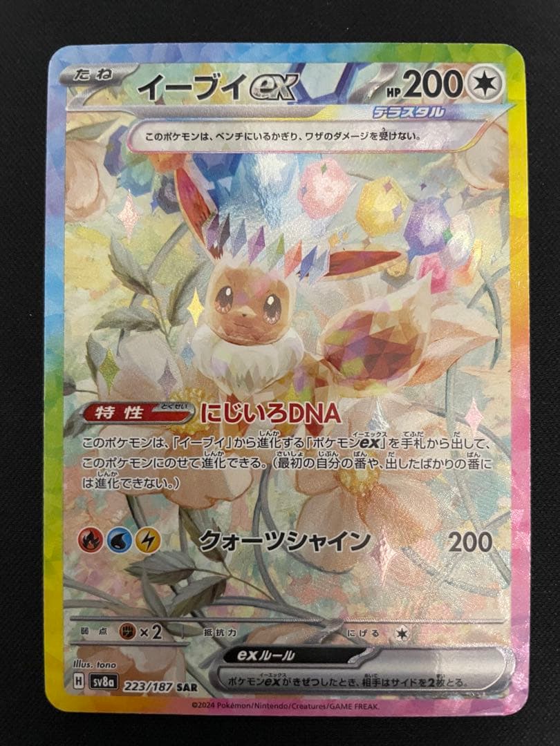 【最終値下】ポケモンカード テラフェス ブイズ 10枚コンプセット＋おまけ付き